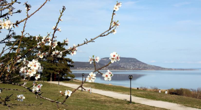 Több mint szép panoráma a magyar tengerre: balatongyöröki Szépkilátó