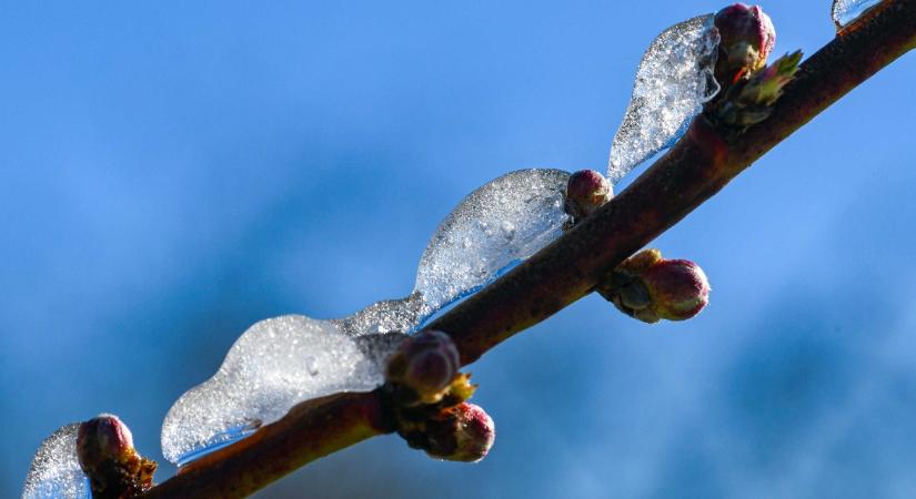 Kritikus időszakban jött a hideg: sok múlhat a következő heteken