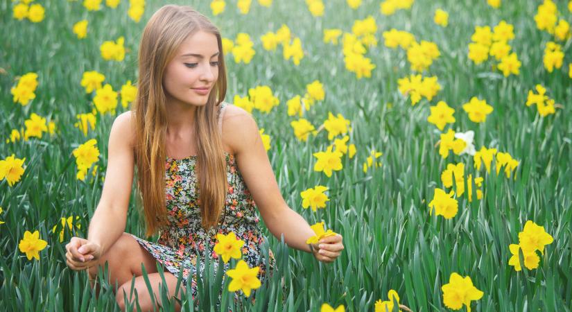 Fontos teendőd van ilyenkor a nárcisszal, ha azt akarod, hogy jövőre is virágozzon