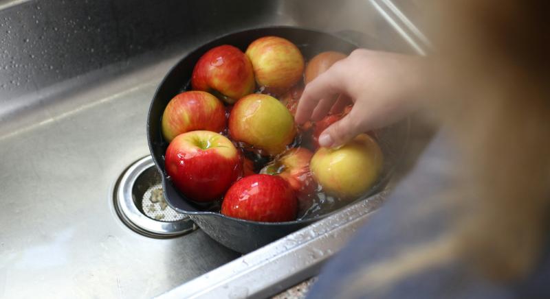 Filléres mentőöv az élelmiszeripar számára – Egy új anyag eltünteti a vegyszereket