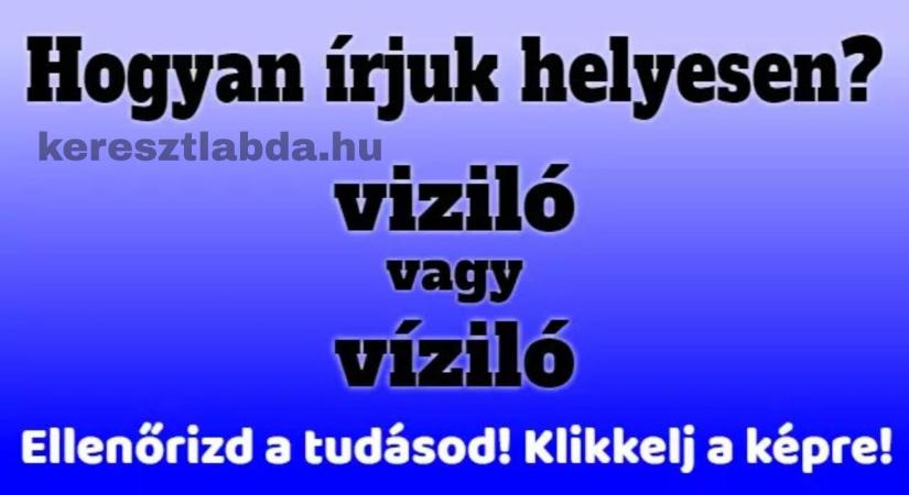Napi helyesírás feladat: „Viziló” vagy „víziló”? – Egyetlen ékezeten múlik