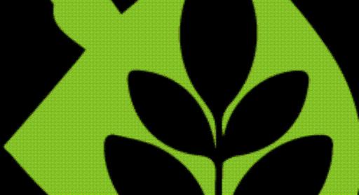 A virágboltok mélyen hallgatnak róla, de mi kiderítettük: íme a trükk, amivel bármelyik orchideát új életre keltheted