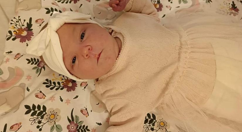 Egymás után érte a családot a tragédia - Most 1 hónapos lett a félárva Zafira