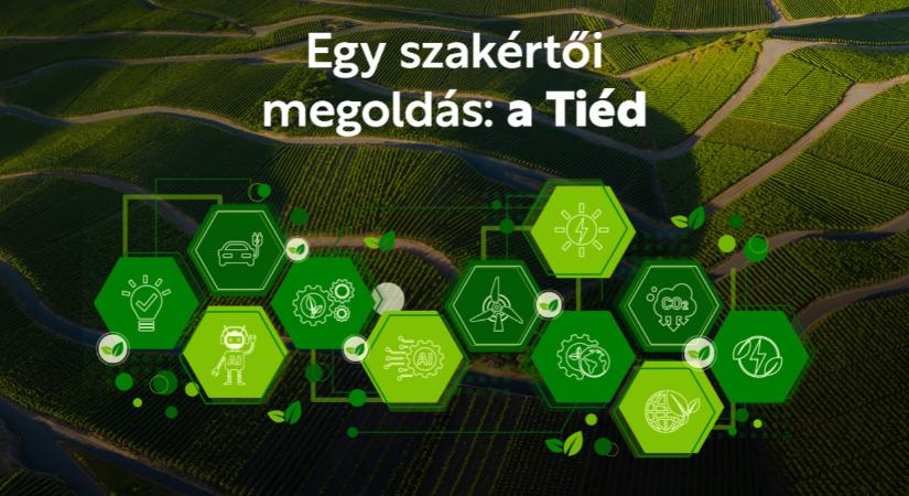 A gombaölőszeres védekezés aktualitásai kalászosban