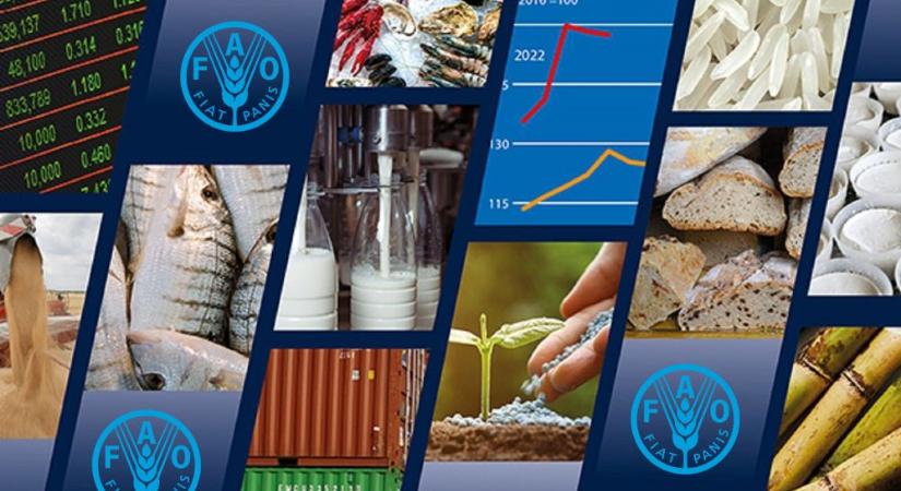 Élelmiszerkatasztrófa kockázatára figyelmeztetett az ENSZ