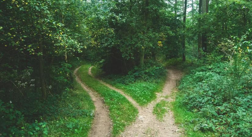 Emberi csontvázra bukkant egy kutyasétáltató férfi