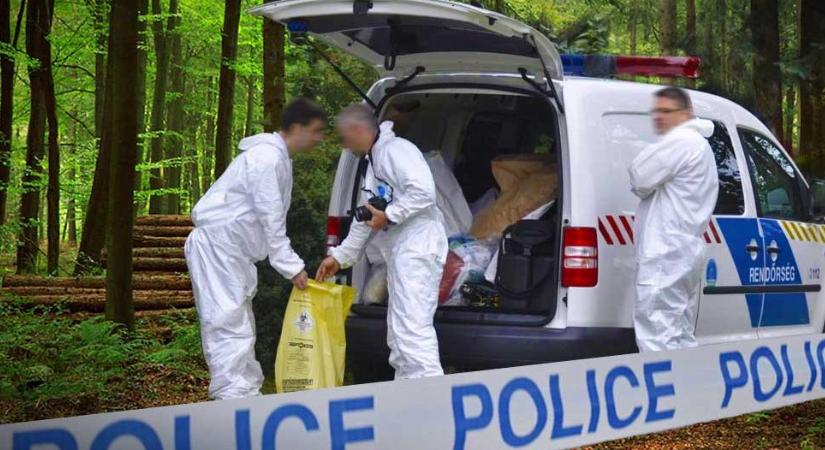 Felfoghatatlan bűntett a Marina Parton: kivégezték a párt, feldarabolták a holttestüket, majd elásták őket egy mésszel teli gödörben a Pilisben