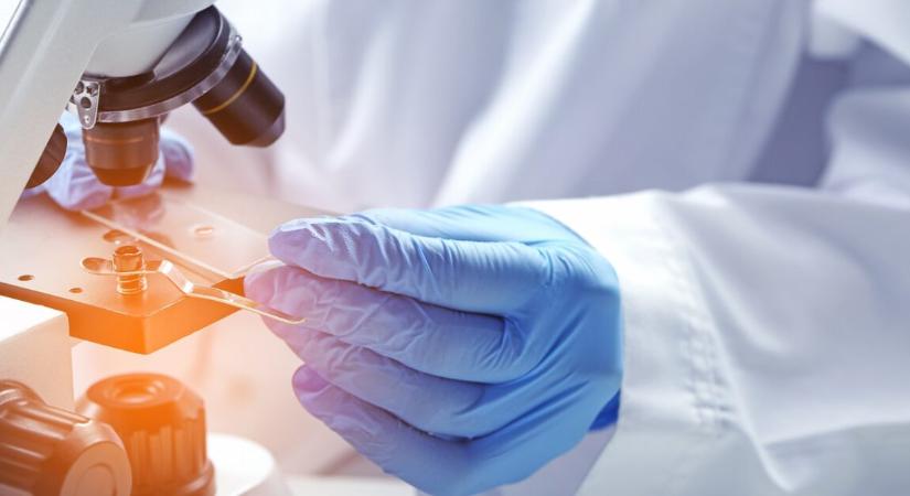 A vírus, ami szinte minden emberben ott van