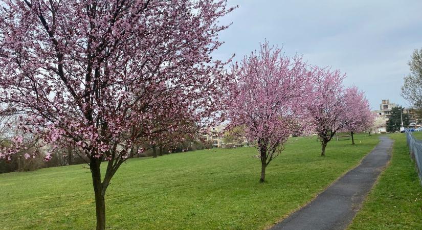 Itt a fordulat, amire senki sem számított – ilyen lesz a holnapi időjárás Borsodban!