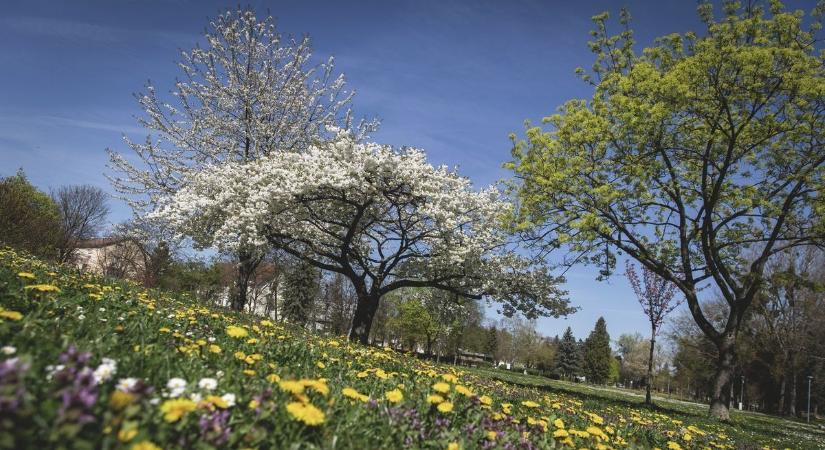 Így változik meg minden pár nap alatt – ilyen lesz az időjárás Somogyban