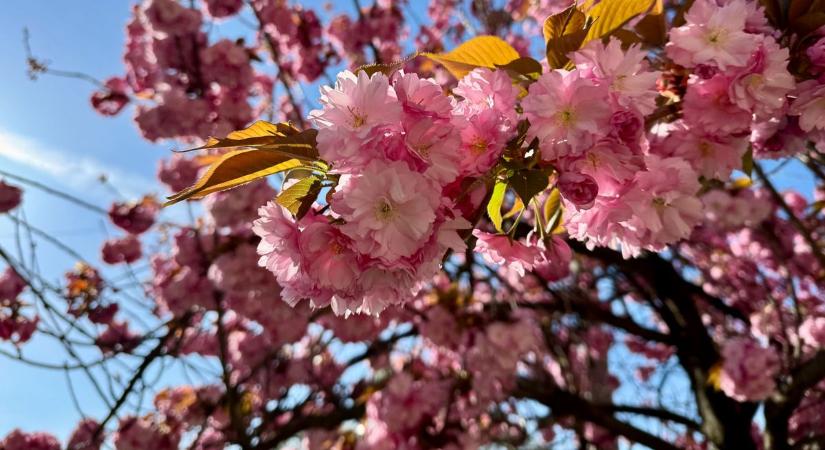 Kabát vagy pulóver? Segítünk eldönteni, mit vegyen fel holnap Szekszárdon!