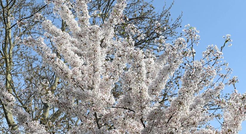 Megérkezett a friss előrejelzés: jobb, ha erre felkészülsz csütörtökön