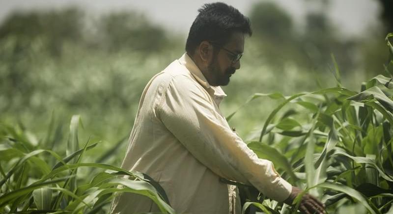 Indiában több mint három éve a leggyorsabb ütemben emelkedtek a nagykereskedelmi árak márciusban