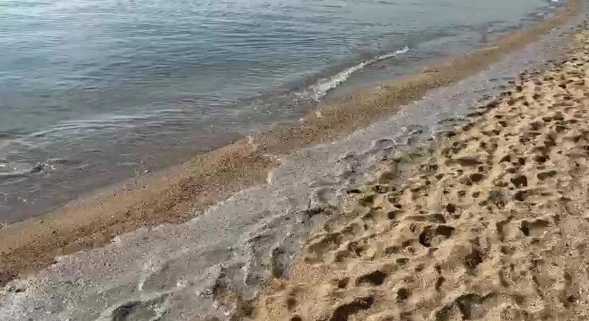 A Fekete-tenger partvidékén a szakemberek környezetszennyezést észleltek