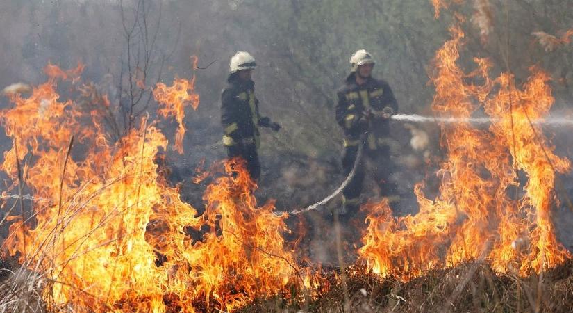 Tűz ütött ki Kaba térségében, hatalmas területen csaptak fel a lángok!