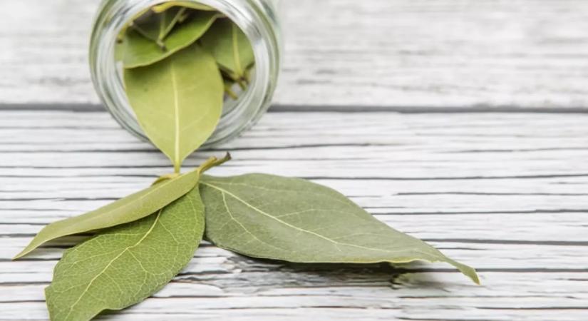 Égettél már valaha babérlevelet a lakásban? Próbáld ki, extrém dolgot tapasztalsz majd