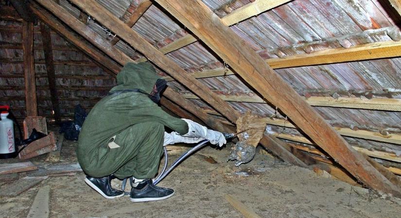 Pár száz forintos végítélet a darazsaknak: ezt tedd ki a kertedbe, ha nem akarsz több menekülést és vadászatot