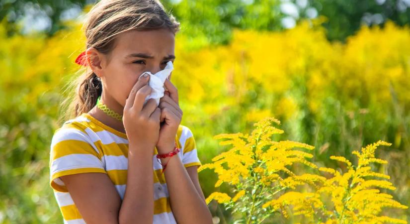 Milliók élnek halálos allergiától rettegve – egy 9 éves kislány küzd a gyógymódért