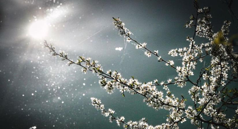 A tavasz, az ravasz! Nem lesz unalmas a holnapi időjárás