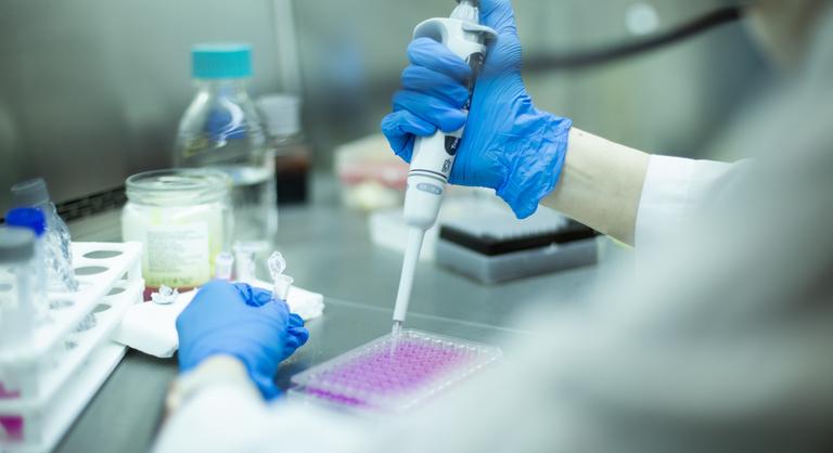 Nemcsak a piac mozdult meg, a tudományban is fordulatot hozhat a kormányváltás