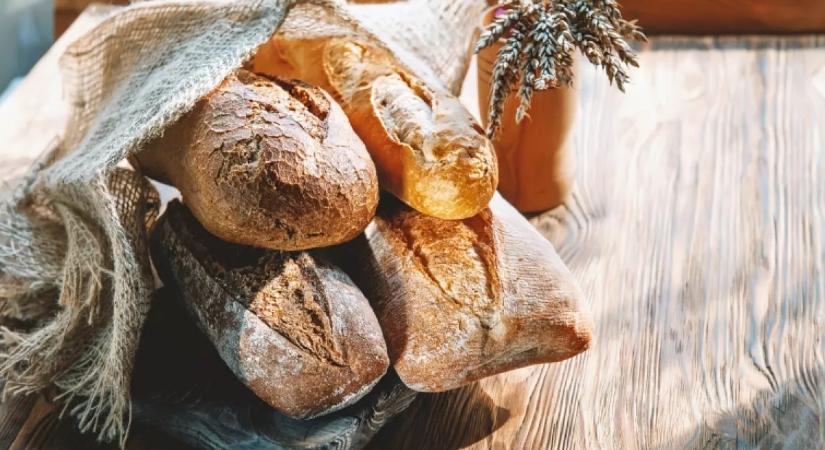 Ha így tárolod a kenyeret, kétszer olyan gyorsan megpenészedik: jobb, ha örökre elfelejted ezt a módszert