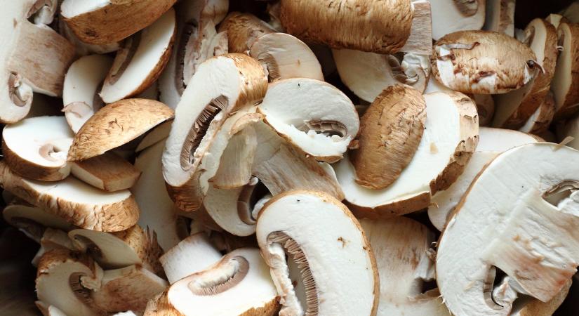 Tavaly is pozitív volt a csiperkegomba külkereskedelmi egyenlege