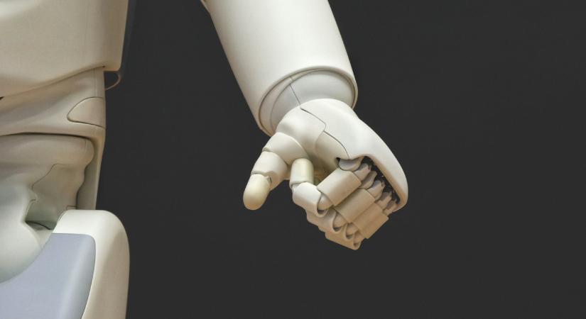 Így néz ki, amikor a bátor robot elkergeti a vaddisznókat – videó