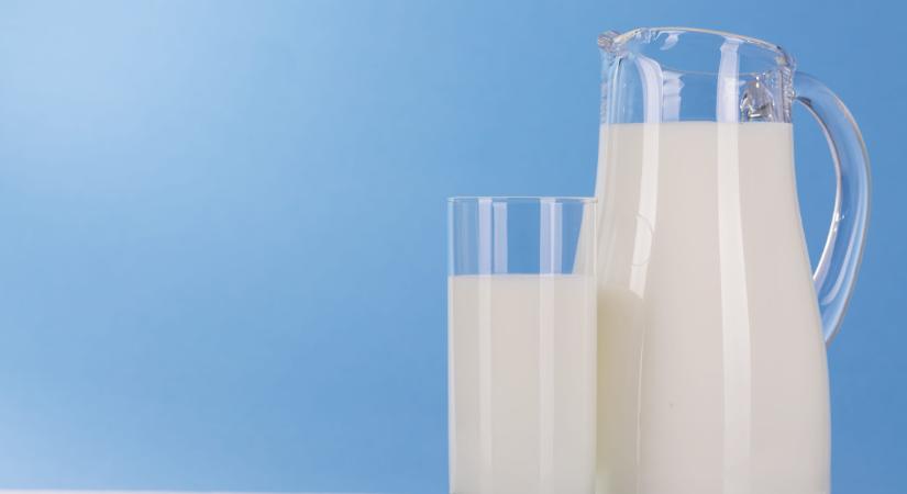 Őrülten finom lesz a tej, ha ezt a fűszert beleteszed - Függőséget okozhat