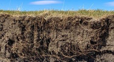 Miért nem elég több műtrágya?
