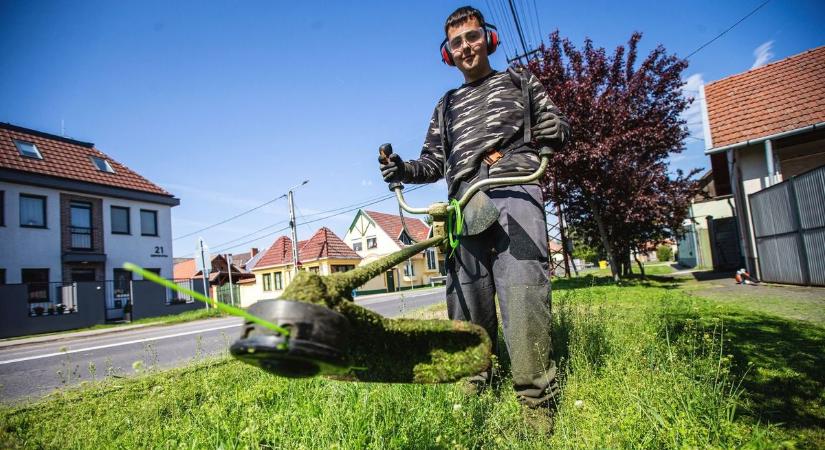 Fontos! Így már biztosan tilos füvet nyírni - ezek a szigorú szabályok