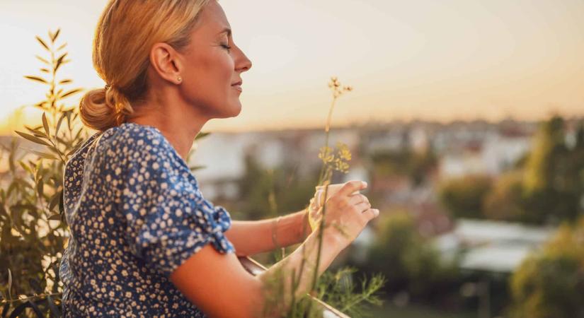 Ne maradj le erről az ingyenes koncertről! A mentális egészségednek is jót tesz