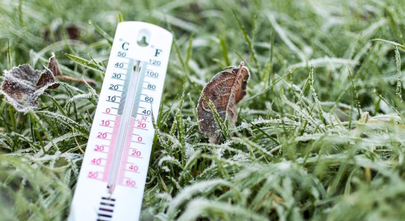 Rémálom lett az április ebben a térségben: fagyhullám tarolt le mindent