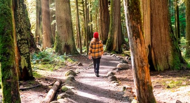 Ennyi lépés kell a hosszabb élethez – A kutatók egyetértenek