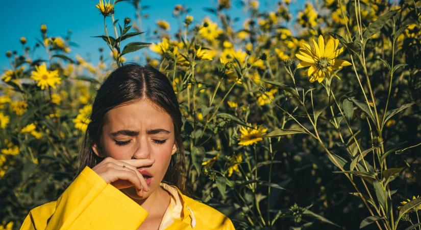 Berobban a pollenszezon: a megfázás, vagy az allergia miatt vagy rosszul?