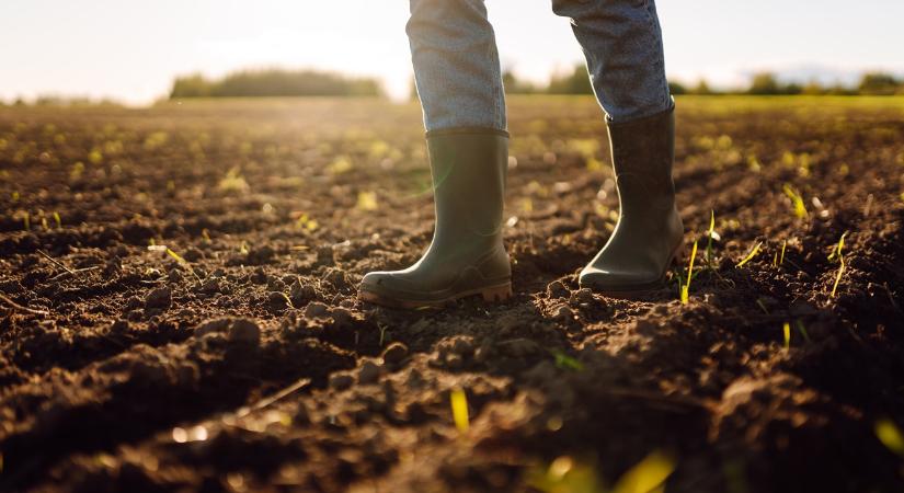 Ezek a legrizikósabb pontok az idei Egységes Kérelemben