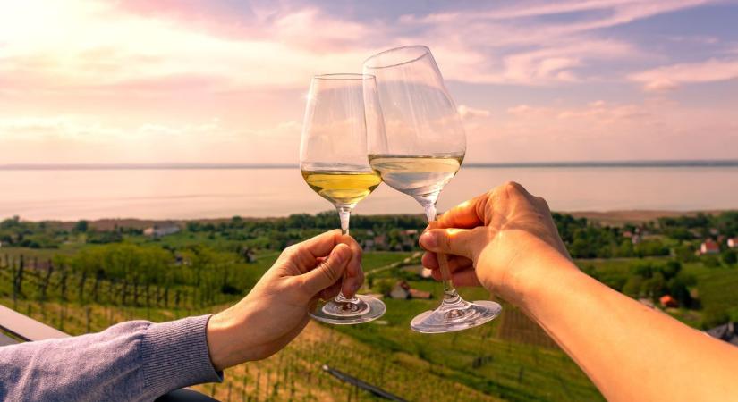 Ennyi volt: 50 év után bezár a balatoni feldolgozógyár, szomorú a magyarázat – túl nagy, már nem használható ki