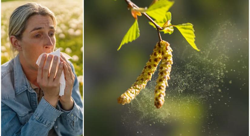 Pollen riadó: Magyarországnak ezt a részét teljesen ellepte a virágpor
