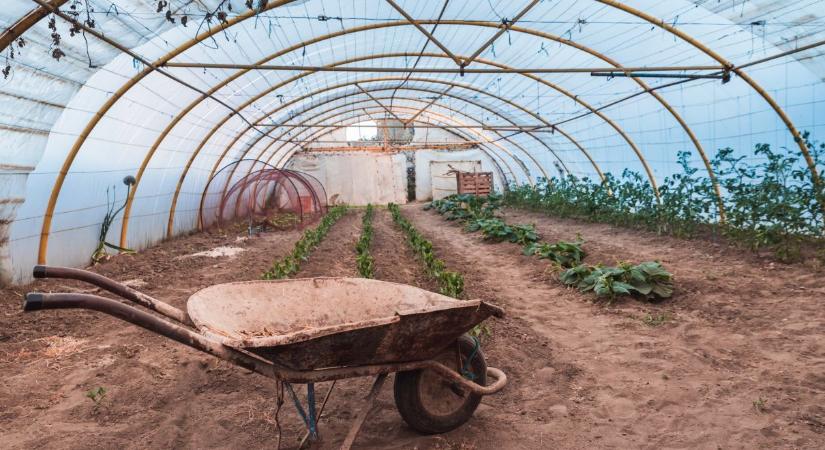 Derecske: kirúgása után visszatért bosszút állni