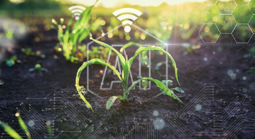 Az okos gazdaságok kora, avagy AI a mezőgazdaságban