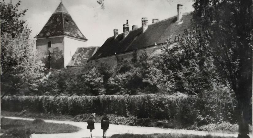 Sárvári vár, ahogy még nem láttad: kerítéssel, fasorral, öreg fákkal