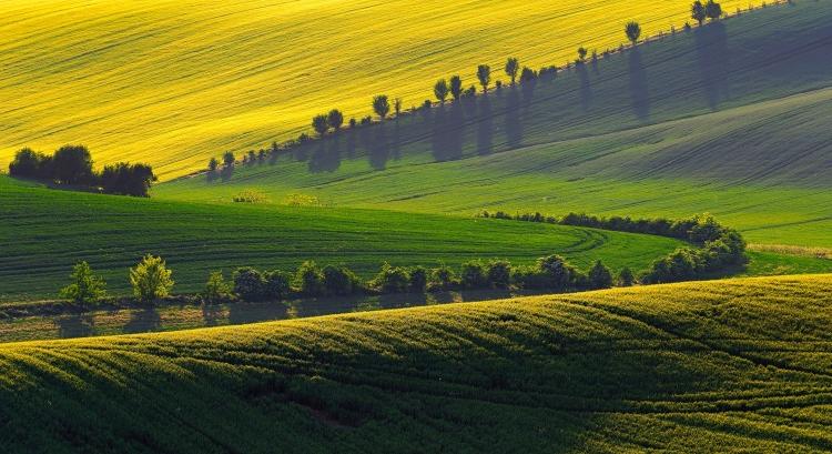 Keszthelyen mutatják meg, merre fordul az agrárium