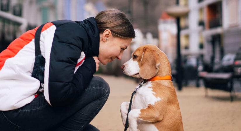 Sokan nap mint nap elkövetik ezeket a hibákat – és ezzel összezavarják a kutyájukat