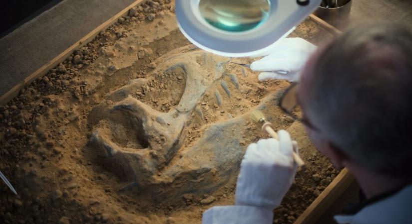 Így nézett ki a krokodil, ami dinoszauruszokat is felfalt