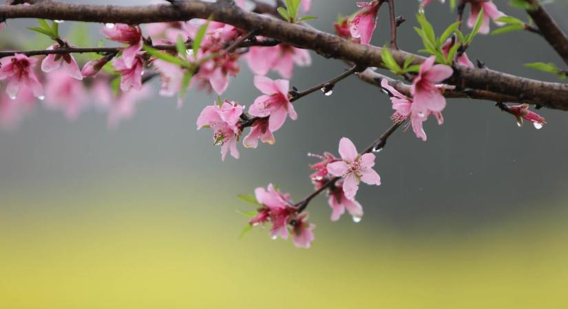 Akár 24 fok is lehet ma