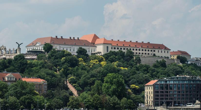 Magyar Péter elengedte a Karmelitát