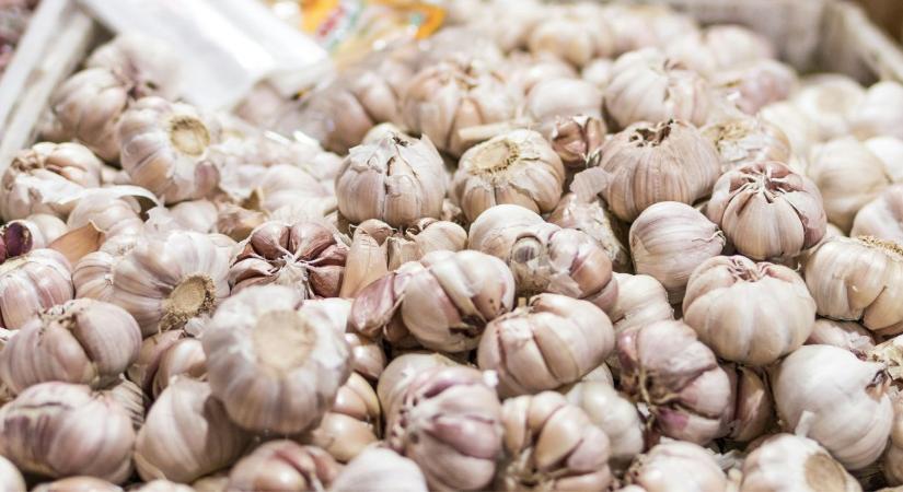Importtrükkök és kiskapuk: így áramlik be a kínai fokhagyma Európába