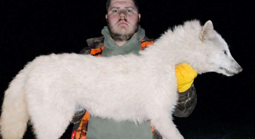 Vadászati szenzáció Magyarországon: ilyen állat nincs, és mégis van