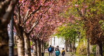 Hétvégi programajánló: I Bike Budapest, nyílt nap a Szépilona kocsiszínben, ReMarket piac és vintage vásár