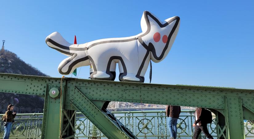 Eddig 30 millió forint gyűlt össze a Kutyapártnak, 686 milliót kell visszafizetniük