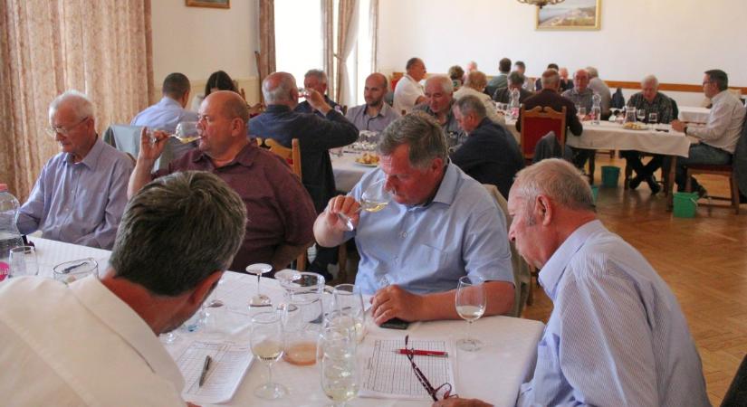 Városi borverseny és város bora verseny